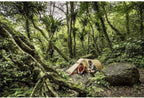 Fjällräven Abisko Lite 3 tunnel tent pitched in forest campsite environment
