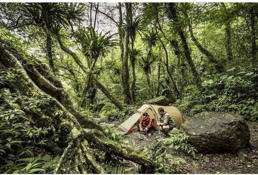 Fjällräven Abisko Lite 3 tunnel tent pitched in forest campsite environment
